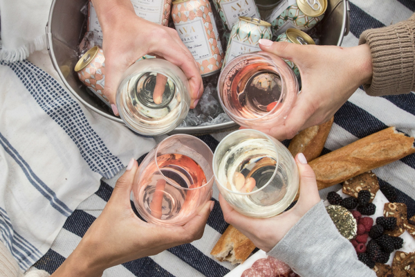 A picnic spread with people toasting on a picnic blanket